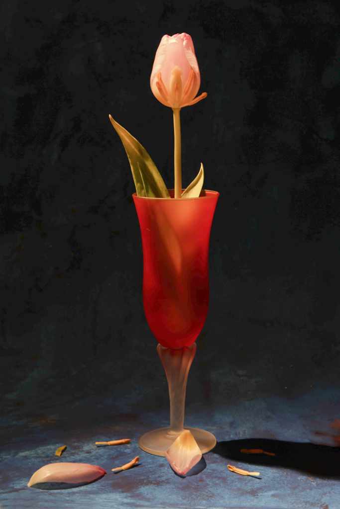 Death of a Tulip.jpg