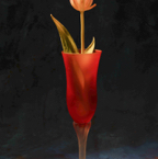 Death of a Tulip.jpg