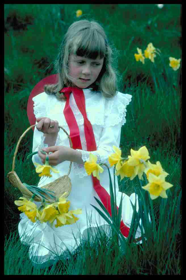 The daffodil girl .jpg