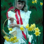 The daffodil girl .jpg