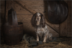 Flossie