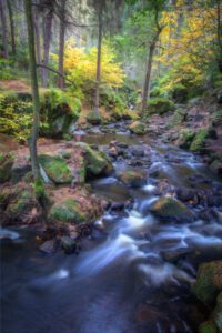 IMG_5585-Edit-Edit-Edit-2